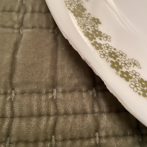 CORELLE SPRING BLOSSOM Green Crazy Daisy Dinner Plates Set of 2 Green & White - Picture 7 of 9